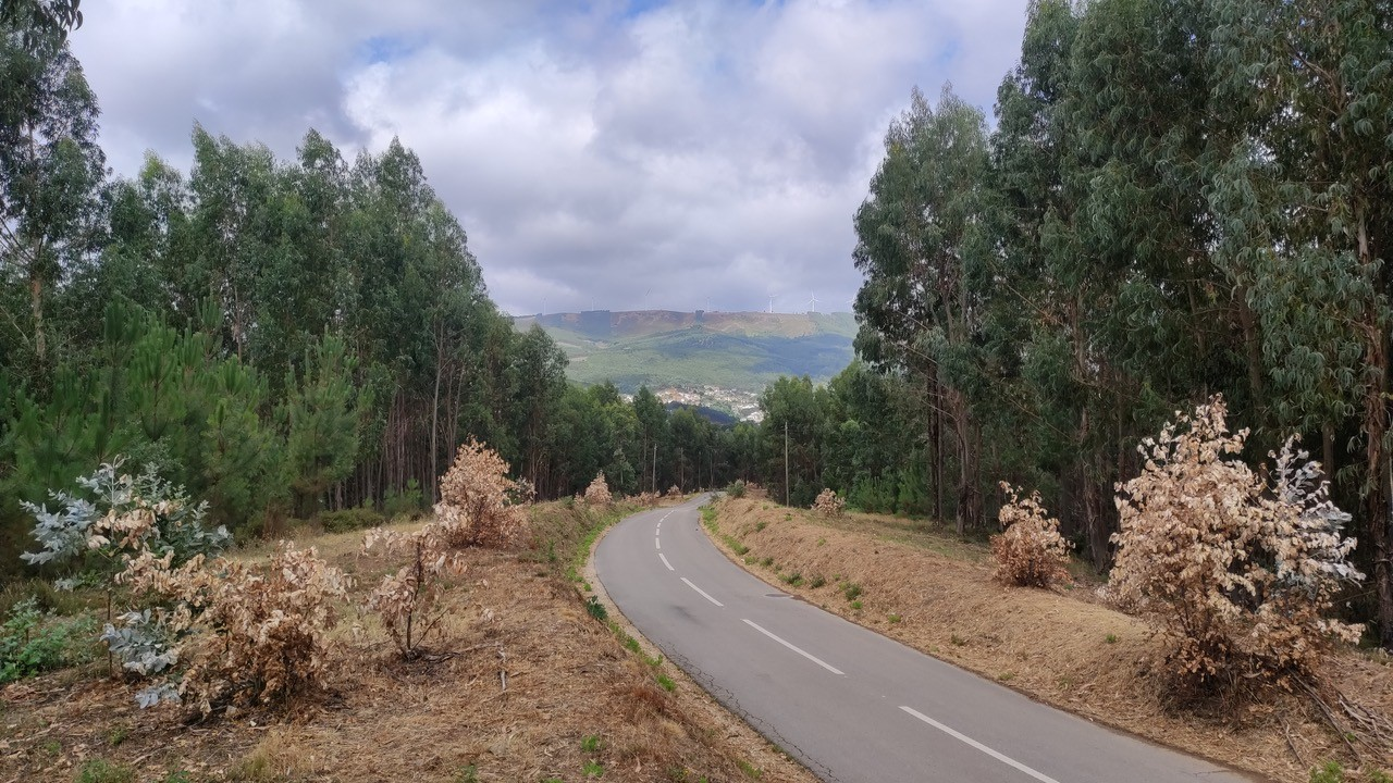 FIRESCAPES: How do extreme wildfires reshape communities - emotionally, socially and politically?